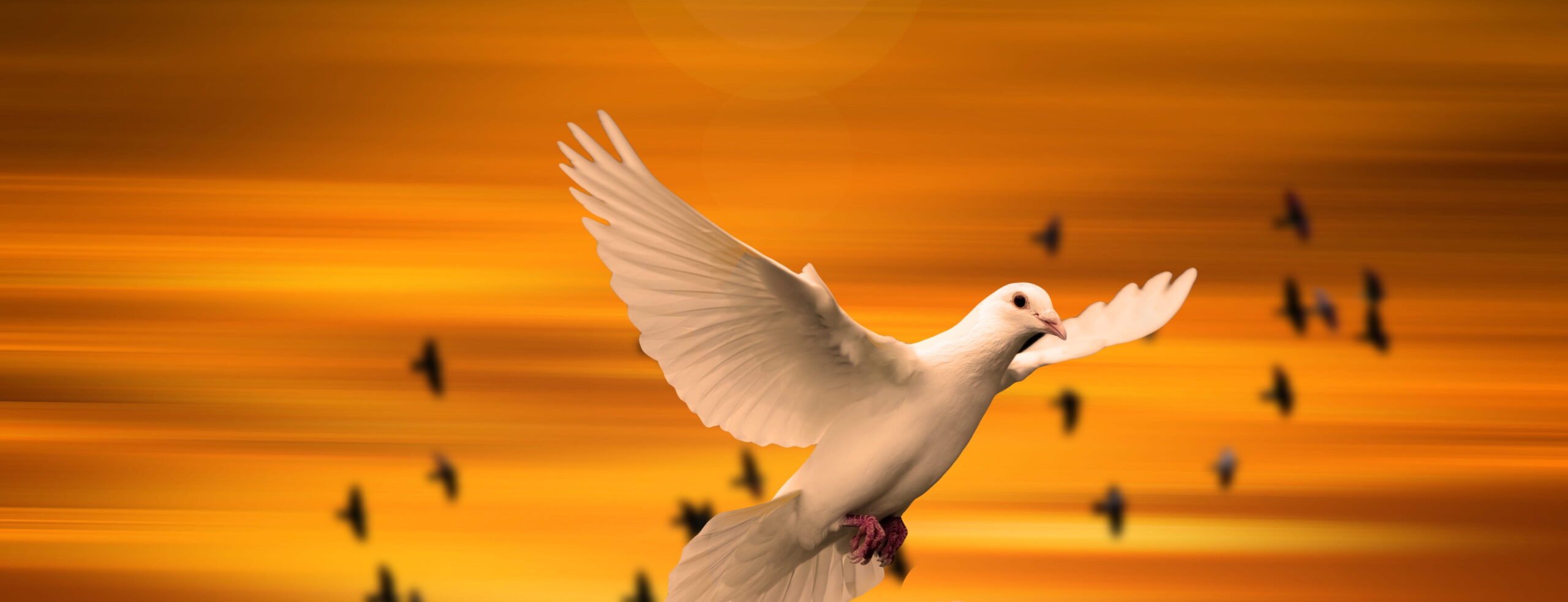 Δημήτρης Λεκκάκος - 22/12/25